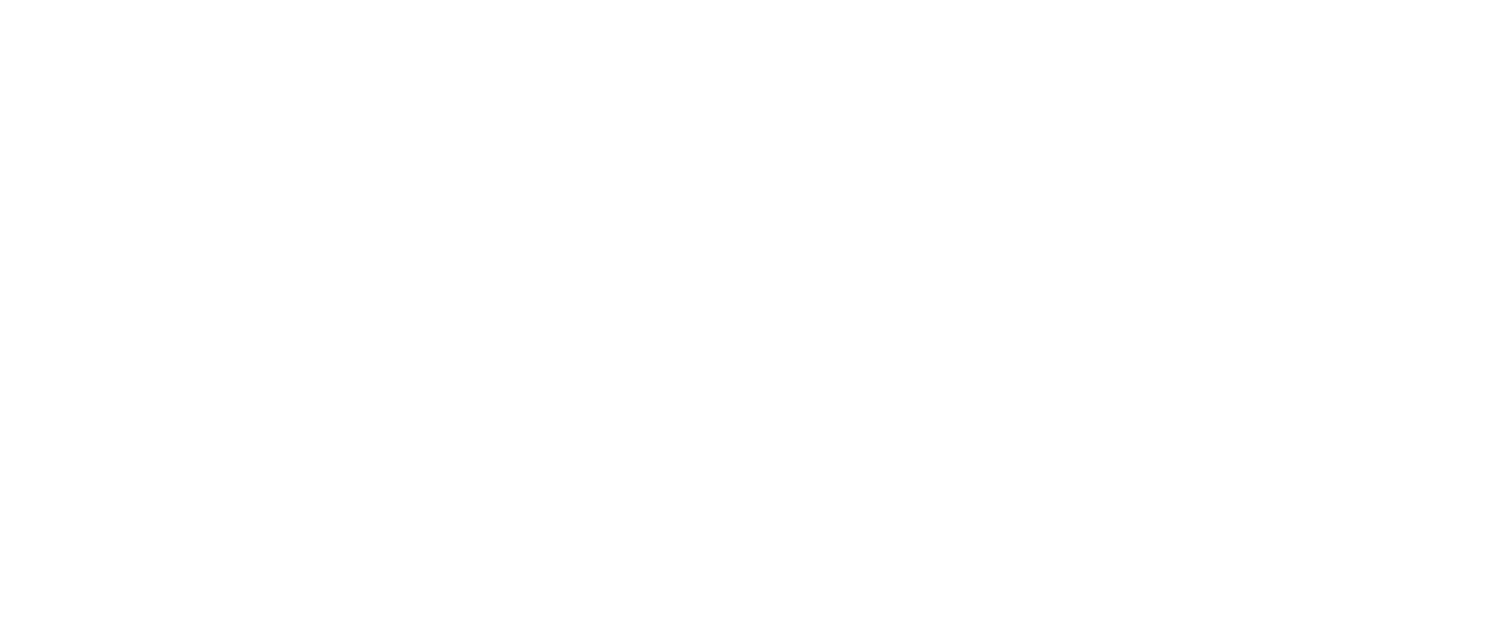 Shine White Logo