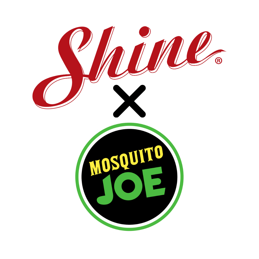 Shine-and-Mosquito-Joe