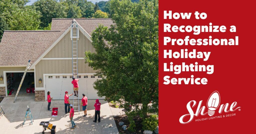 Shine holiday lighting professionals training