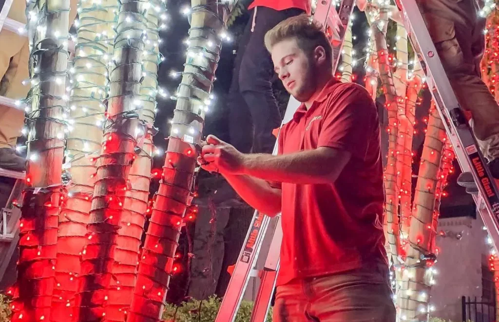 Shine technician installing holiday lights on trees at night.