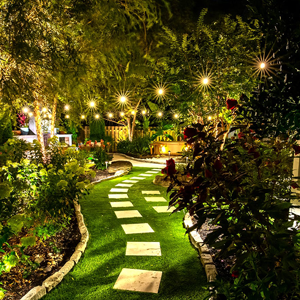 Shine landscape lighting design and installation, home service franchise, christmas light franchise